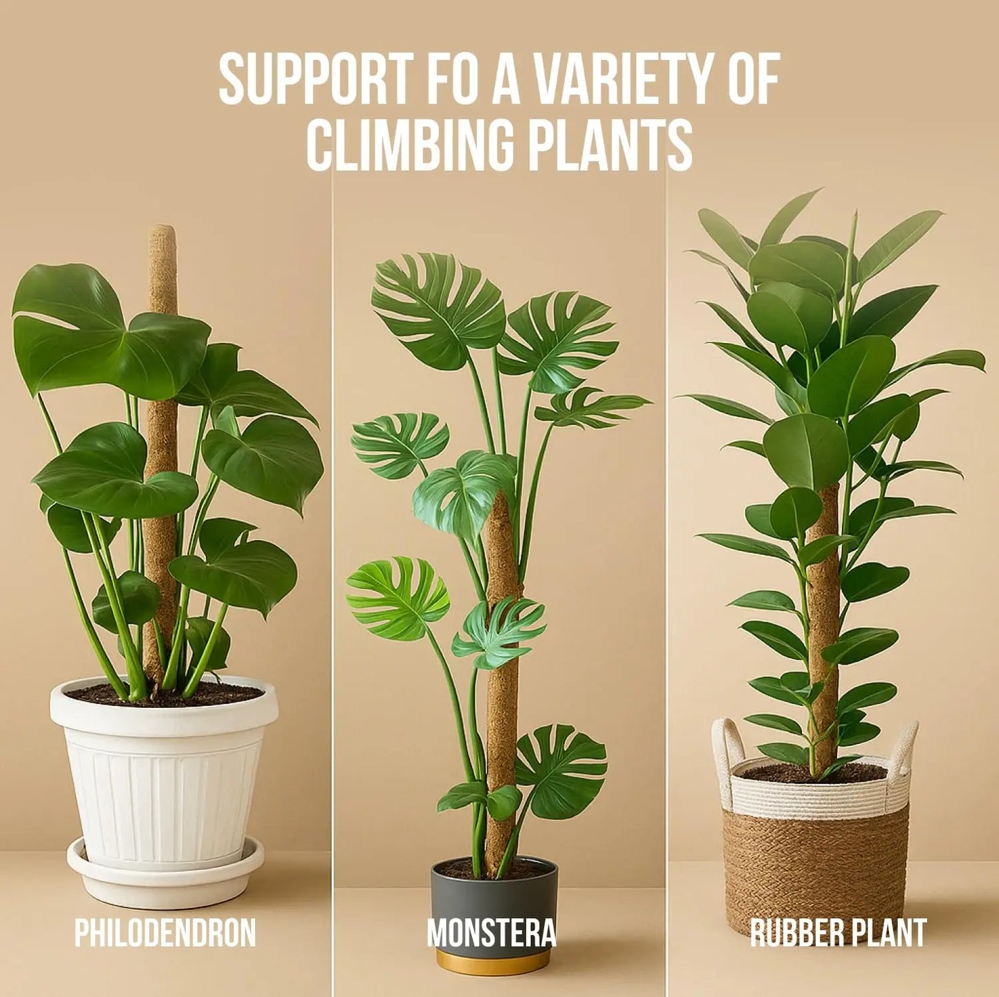 MossHaven™ – Natural Climbing Support for Indoor Plants