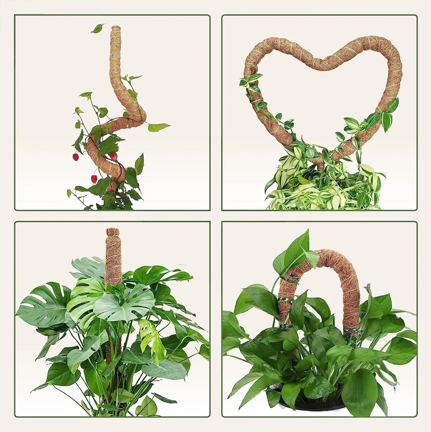 MossHaven™ – Natural Climbing Support for Indoor Plants