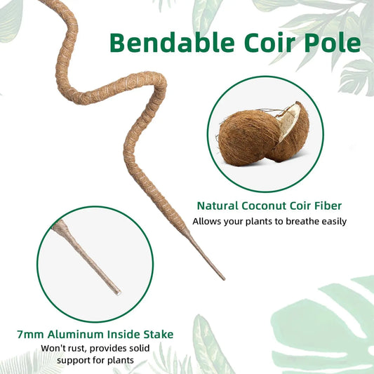 MossHaven™ – Natural Climbing Support for Indoor Plants