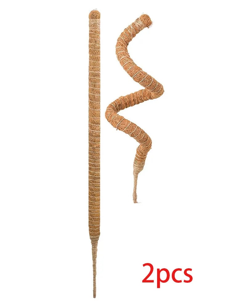 MossHaven™ – Natural Climbing Support for Indoor Plants