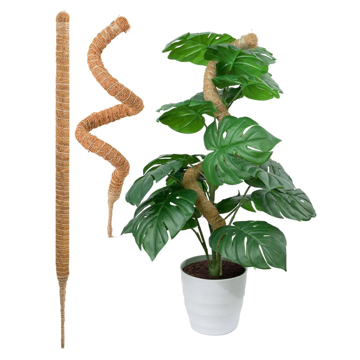 MossHaven™ – Natural Climbing Support for Indoor Plants