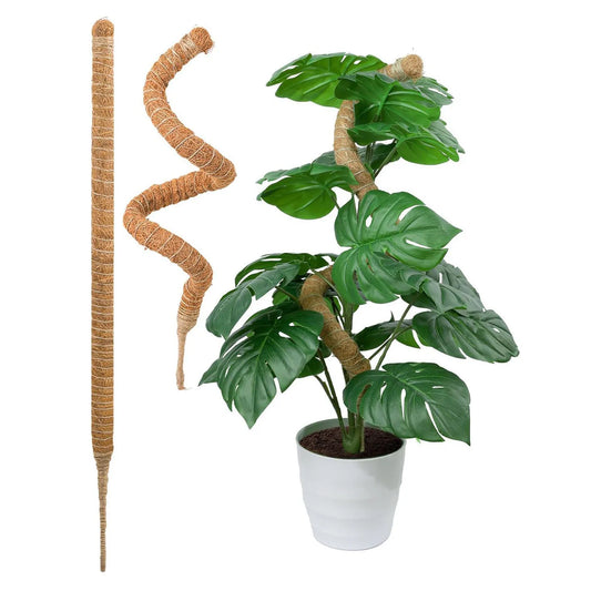 MossHaven™ – Natural Climbing Support for Indoor Plants