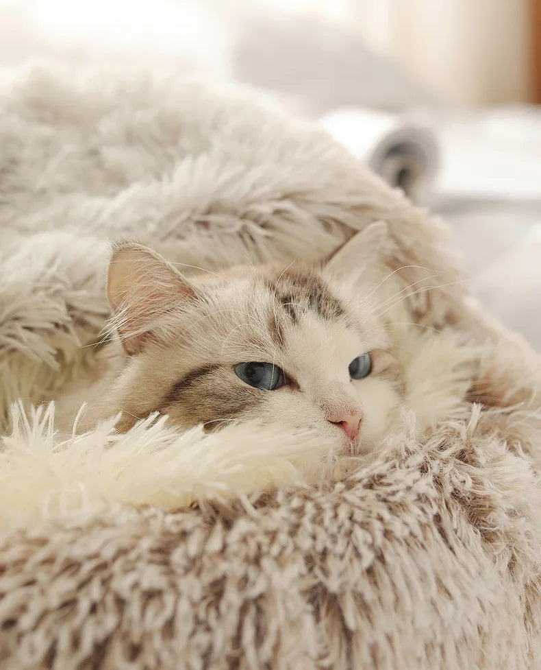 Autumn & Winter Plush Cat Nest – A Warm Hug for Your Pet