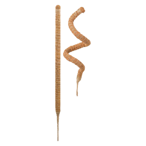 MossHaven™ – Natural Climbing Support for Indoor Plants